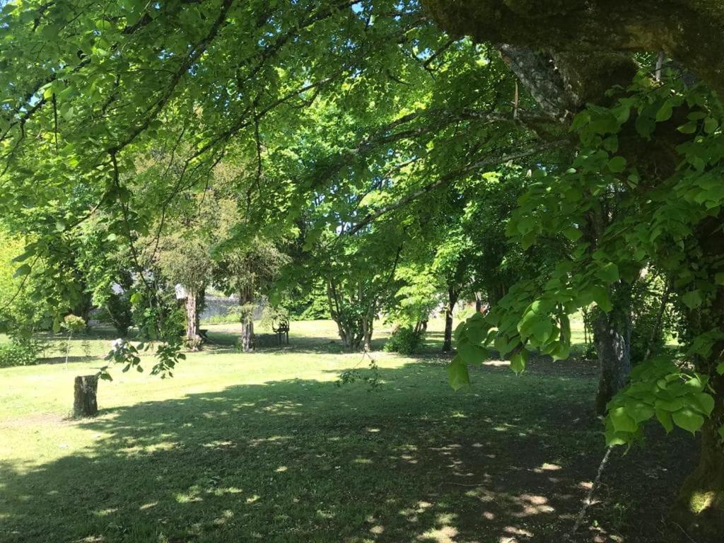 Chez Zoiseau Et Zoiseautte Panzió Chassigny Kültér fotó